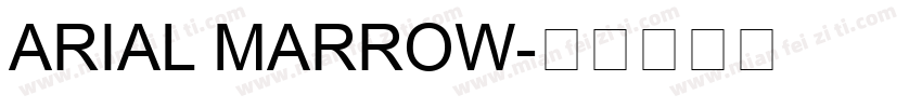 ARIAL MARROW字体转换
